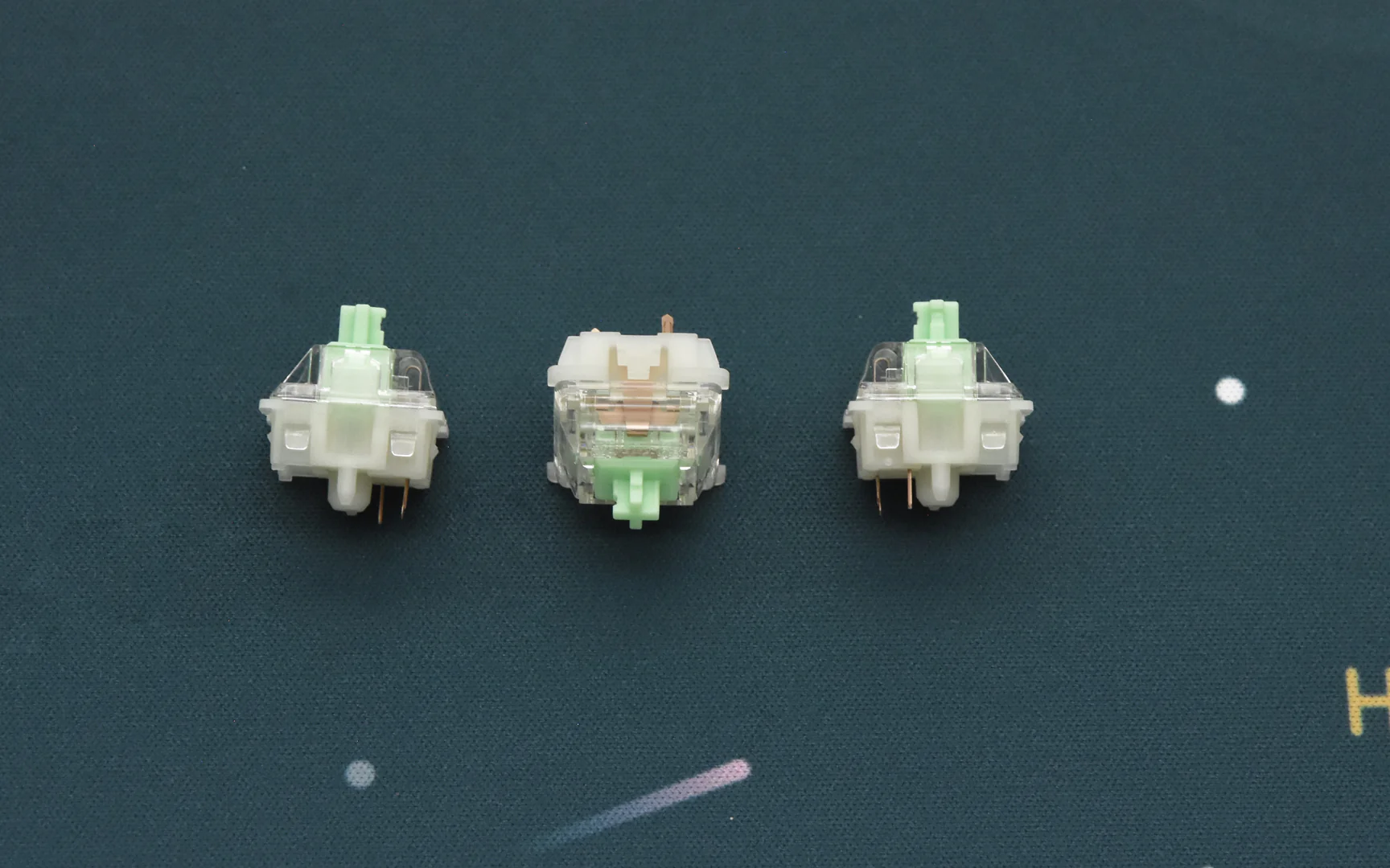 GATERON BABY KANGAROO TACTILE SWITCH (10 PCS) - Image 6