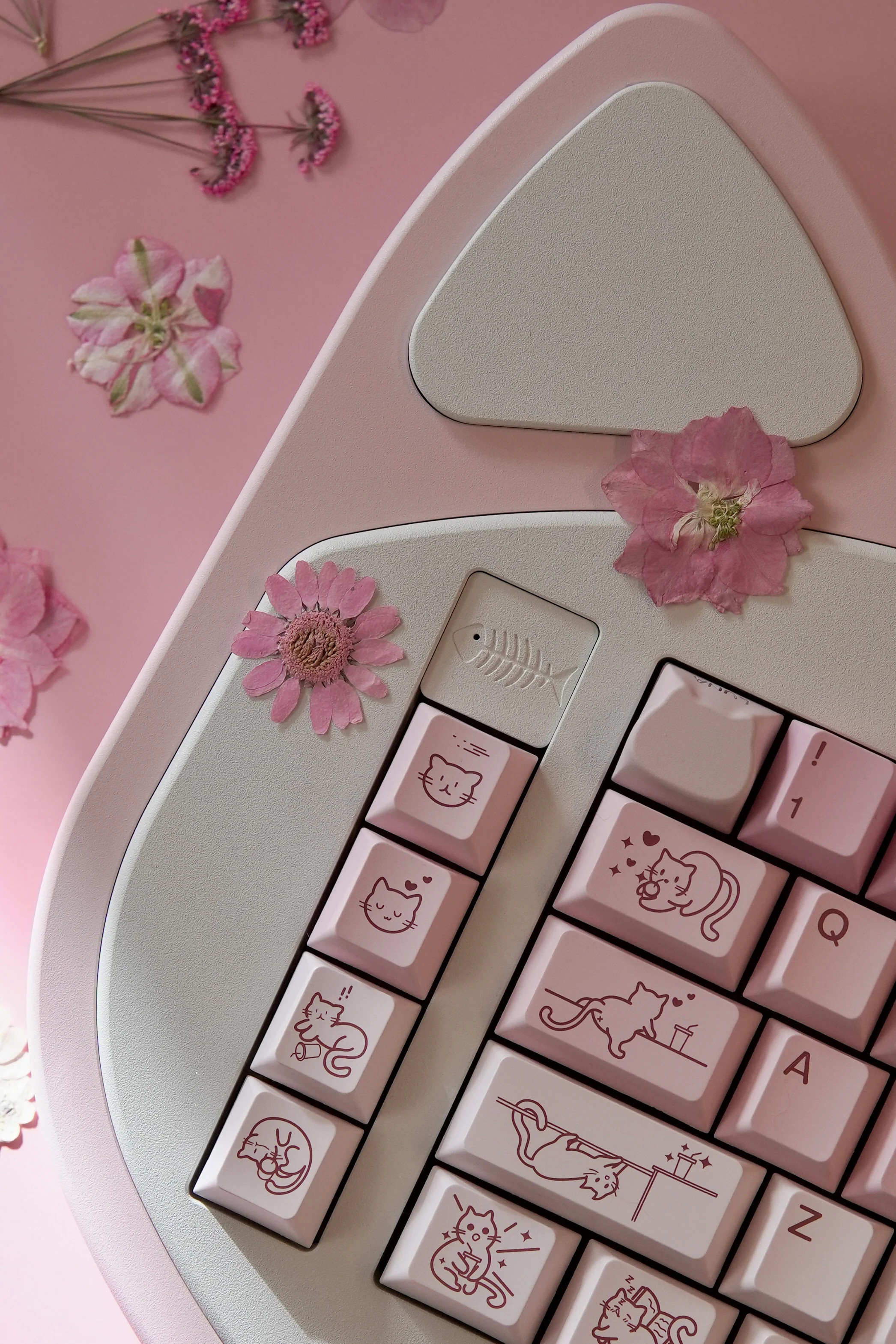 Splitty Kitty Keyboard Kit Instock Extras - Image 17