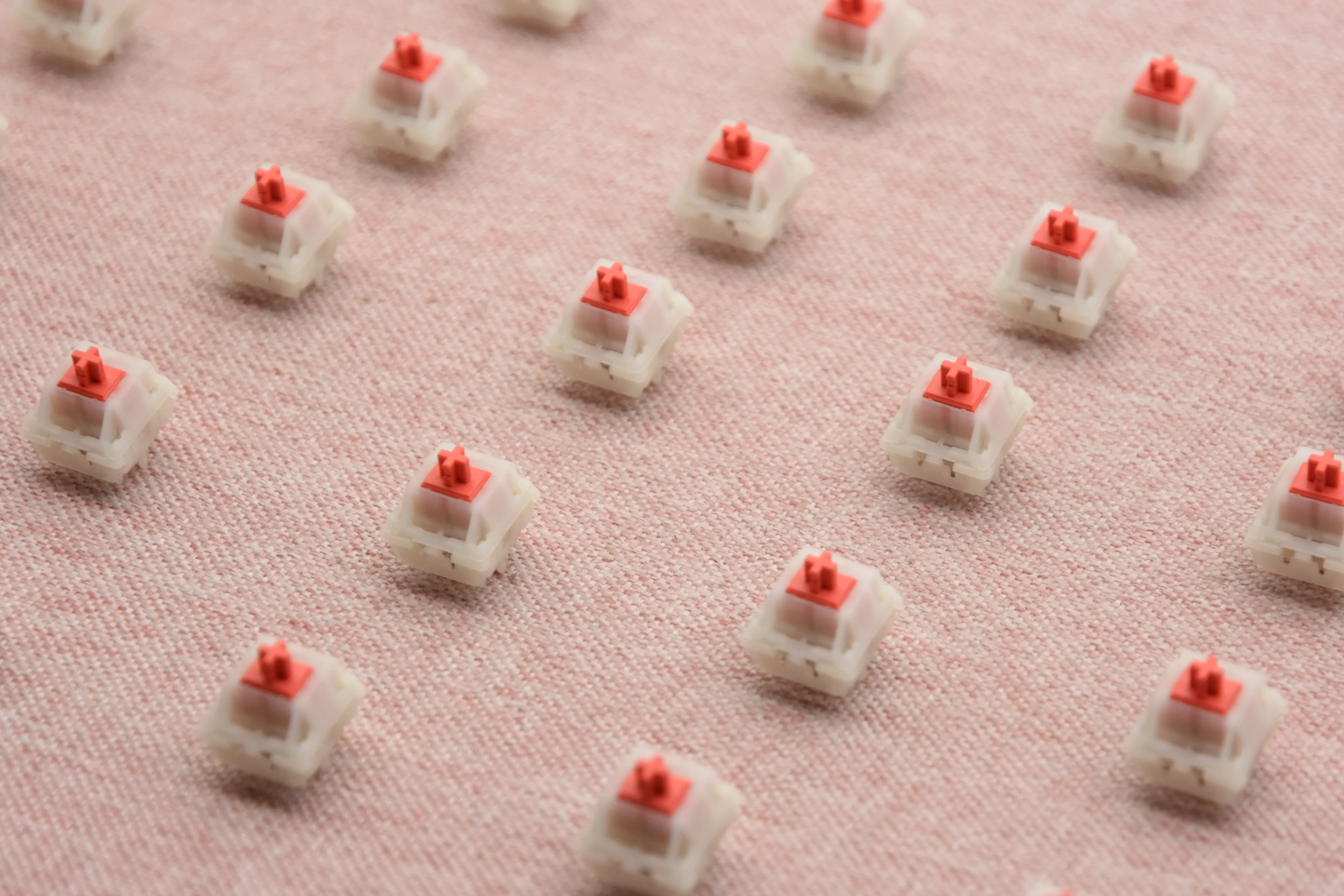 WINGTREE CAMELLIA LINEAR SWITCH FACTORY LUBED (10PCS) - Image 12