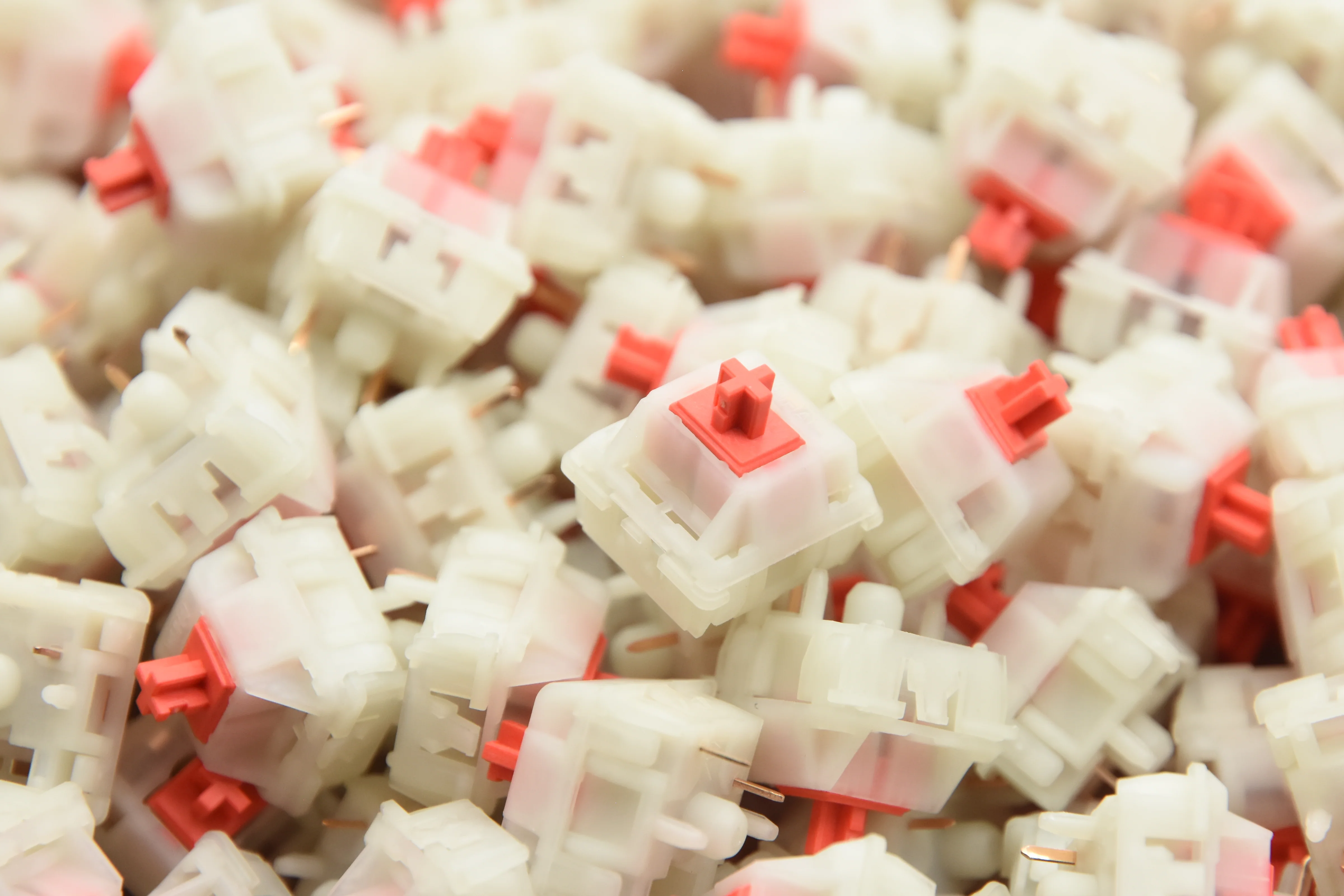 WINGTREE CAMELLIA LINEAR SWITCH FACTORY LUBED (10PCS) - Image 2