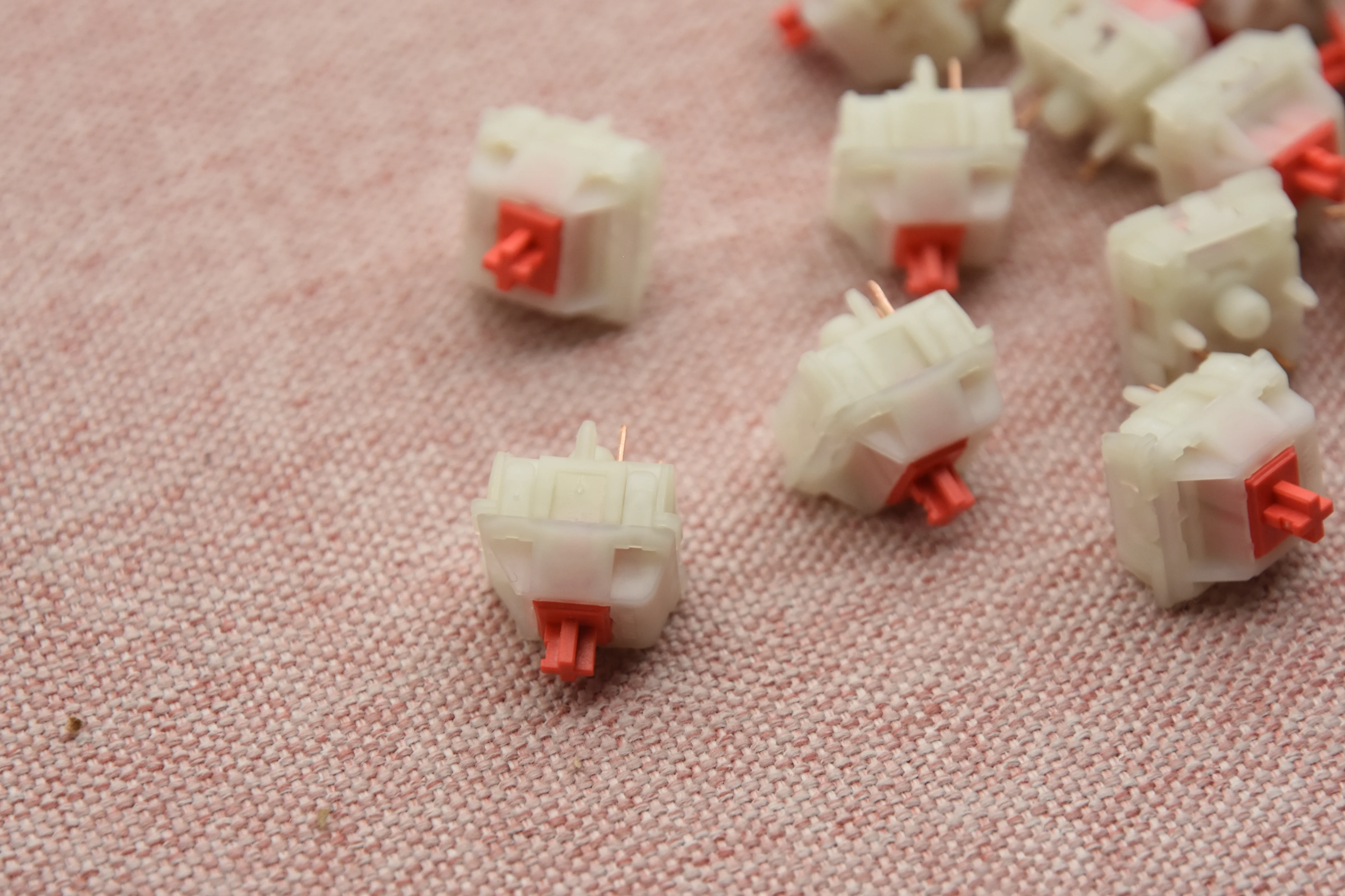 WINGTREE CAMELLIA LINEAR SWITCH FACTORY LUBED (10PCS) - Image 3