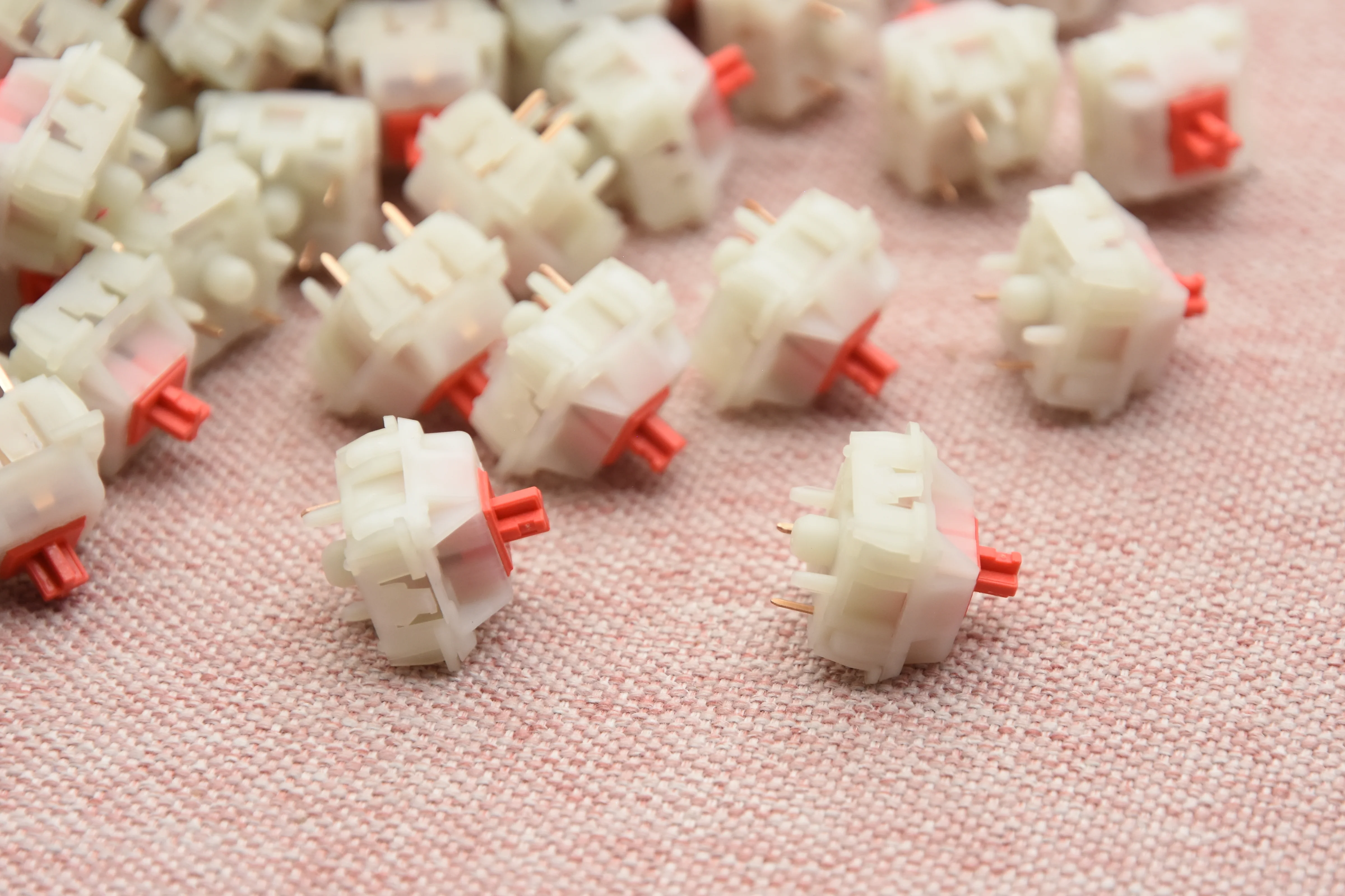 WINGTREE CAMELLIA LINEAR SWITCH FACTORY LUBED (10PCS) - Image 4