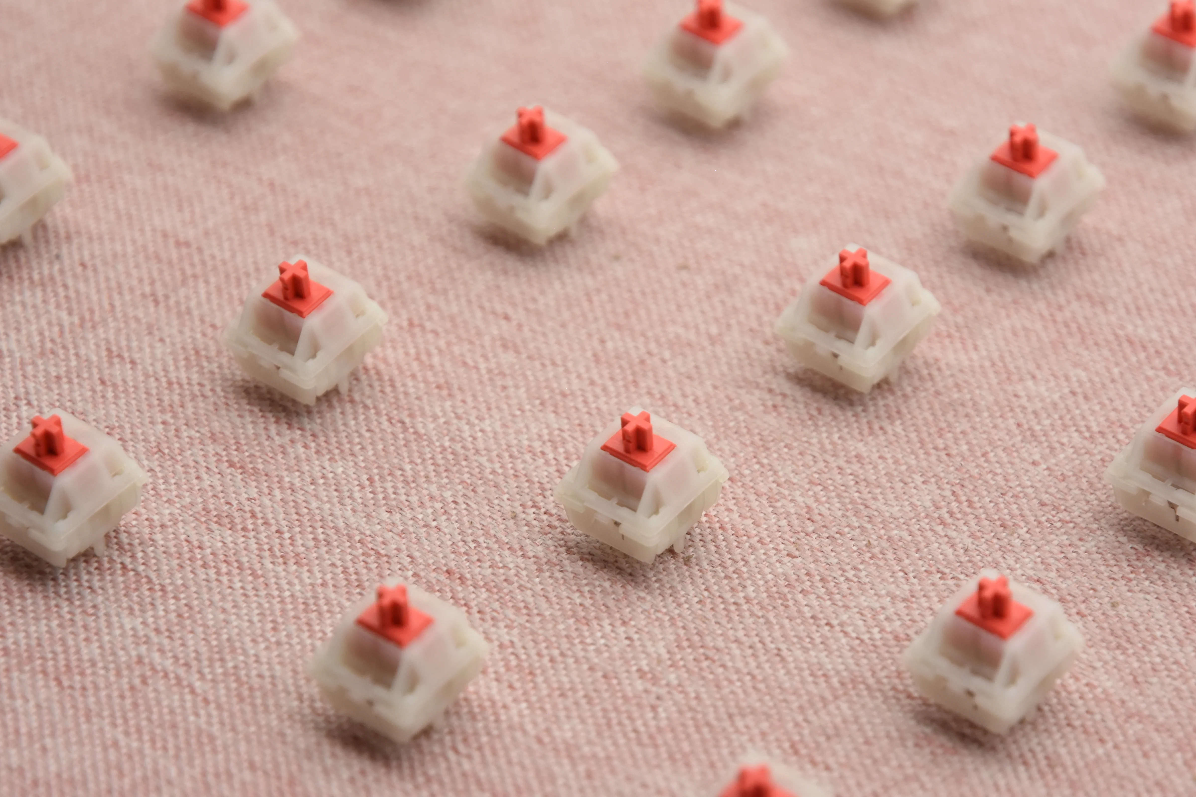 WINGTREE CAMELLIA LINEAR SWITCH FACTORY LUBED (10PCS) - Image 9